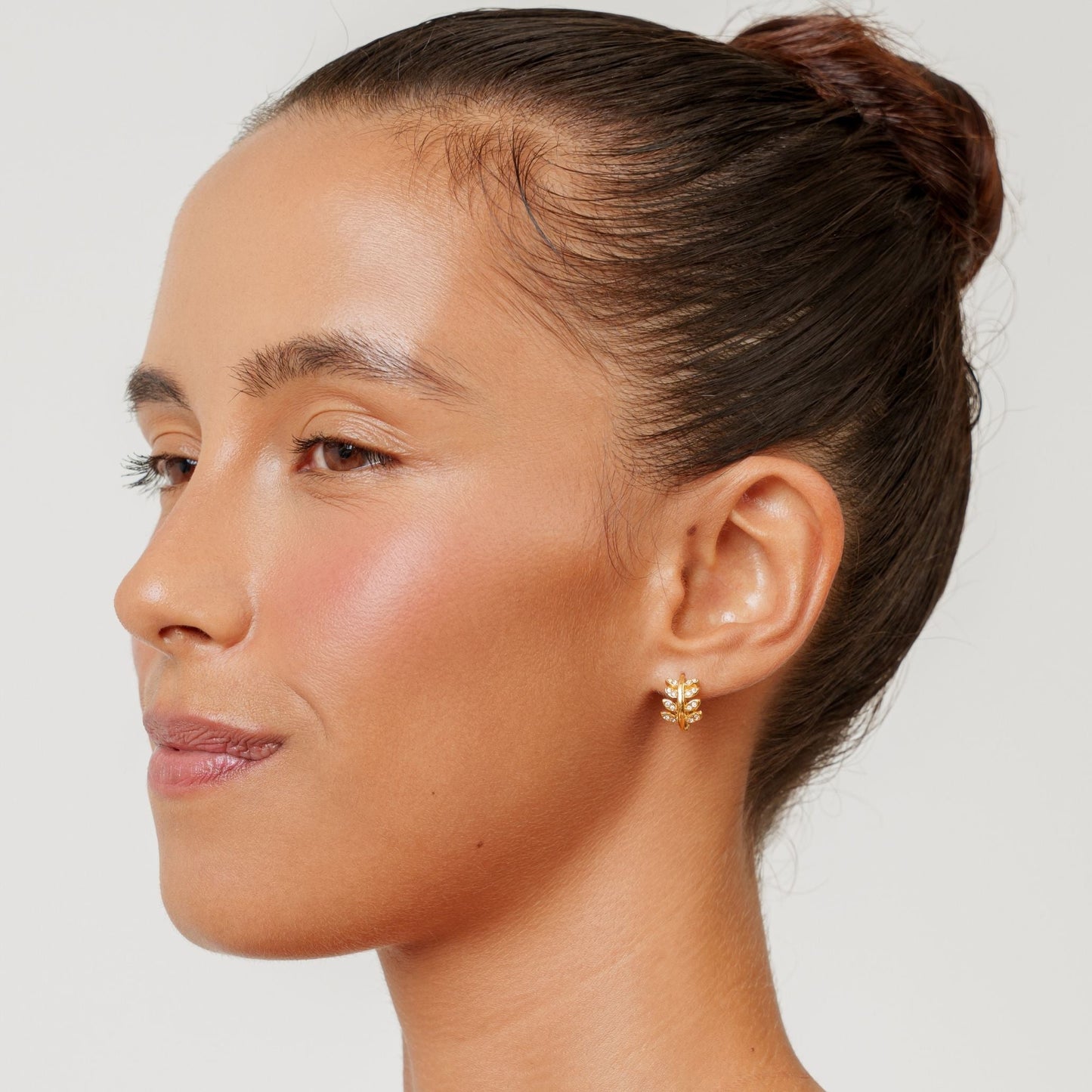 Laurel Hoops Earrings