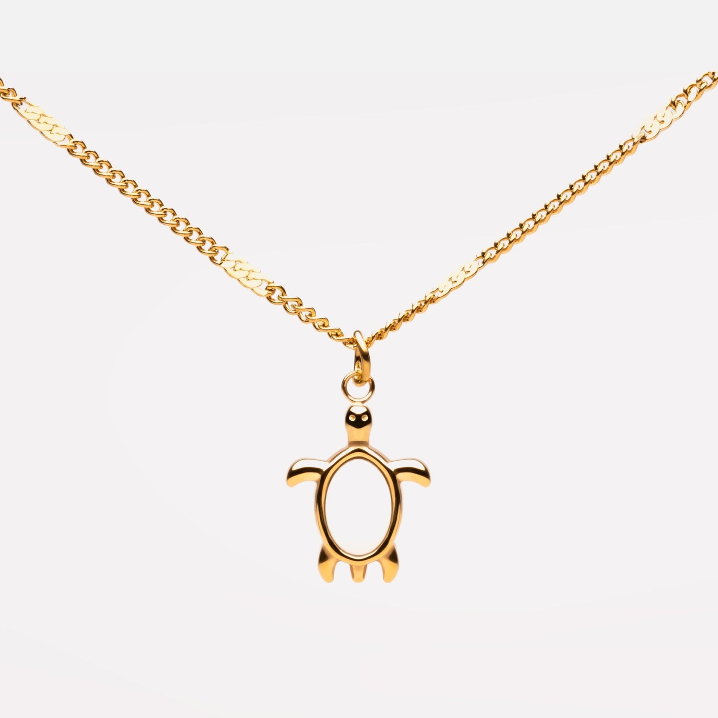 Turtle Guardian Necklace